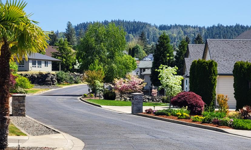 Neighborhood Image